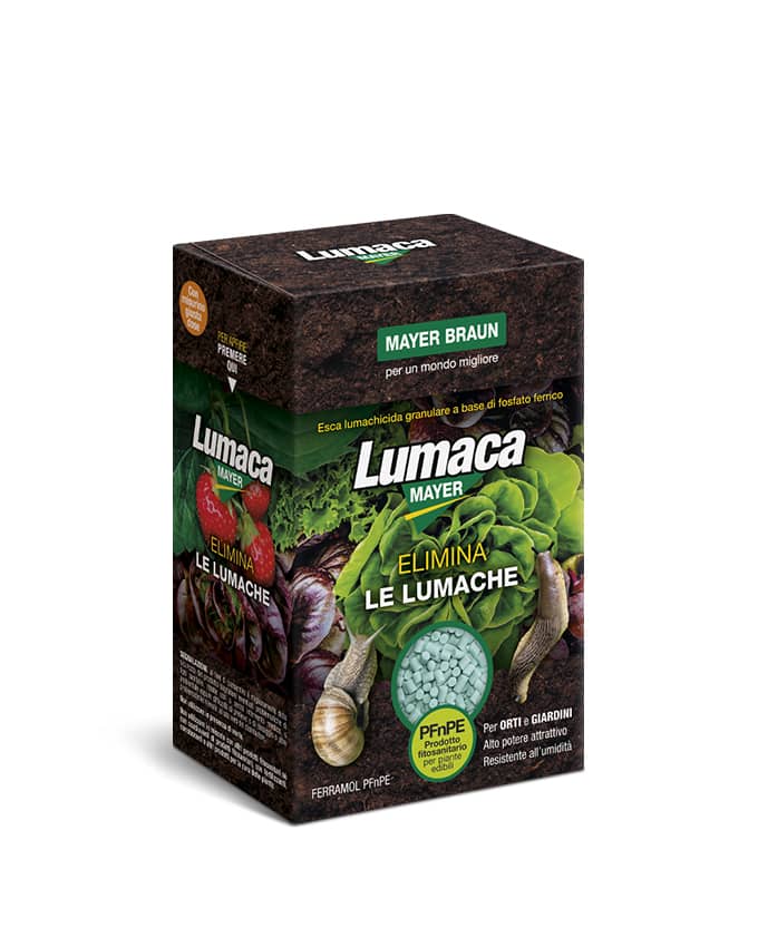 LUMACAMAYER