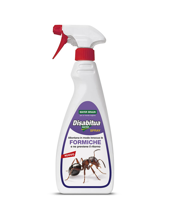 DISABITUAMAYER FORMICHE