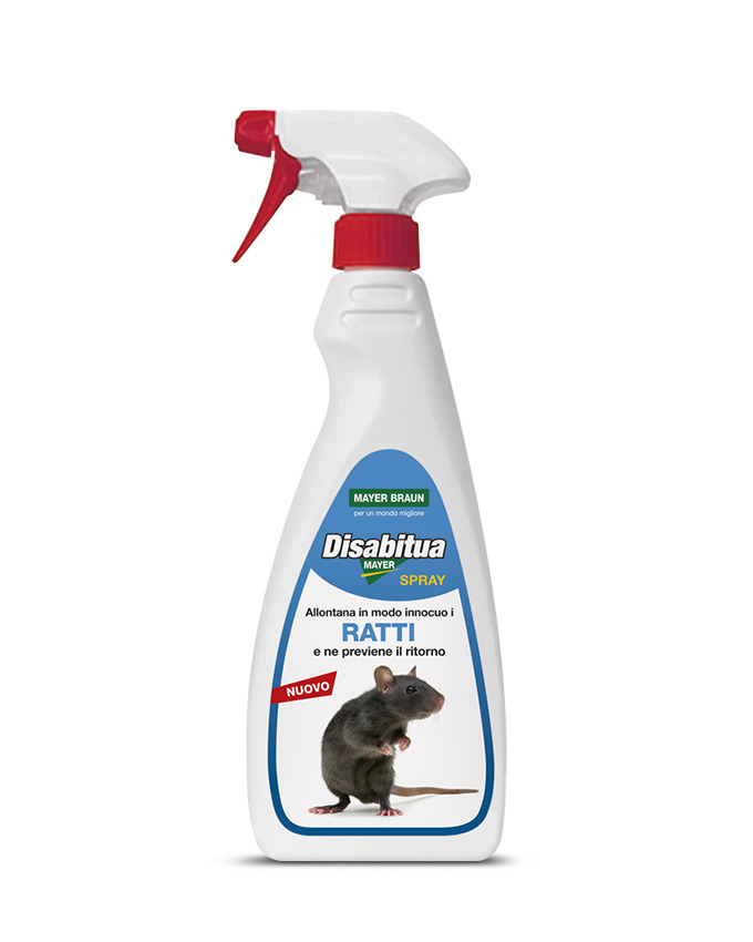 DISABITUAMAYER RATTI