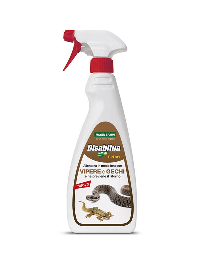 DISABITUAMAYER VIPERE E GECHI